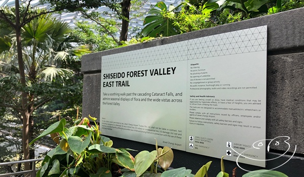 Changi Jewel Shiseido Forest valley